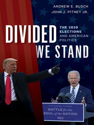 cover image of Divided We Stand